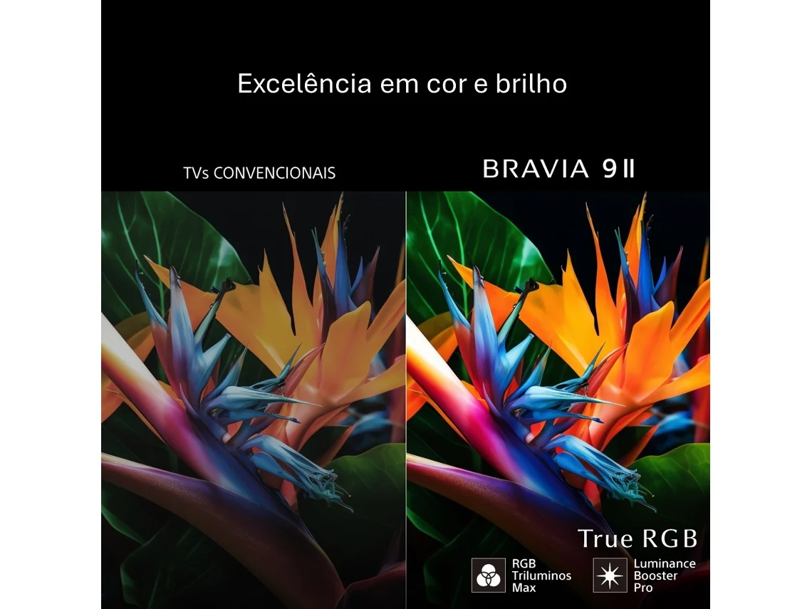 TV SONY BRAVIA 9 II K-65XR95M2 (True RGB - 65'' - 165 cm - 4K Ultra HD - Smart TV)